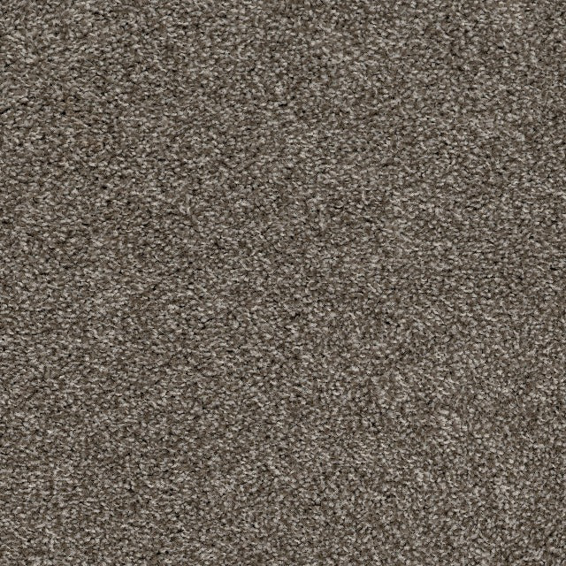 The Ethos Carpet Collection features 3 color options, exclusive to Alberta Hardwood.   Silver lining is a multi toned option, that offers dimension.   The Ethos Carpet collection is textured, with a smooth surface. It is soil, stain, and fade resistant, for easy clean up, and longevity.   Online pricing includes underpad, and install.   For more details, visit our showrooms or contact us. 