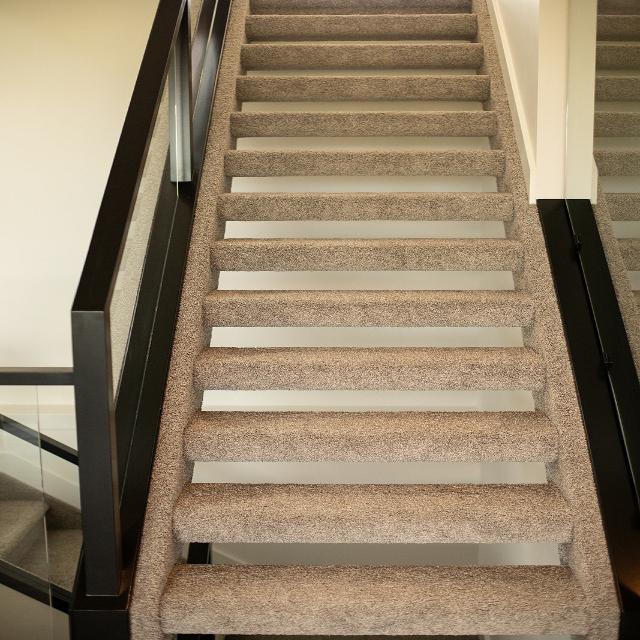 Shaw Shake it up collection