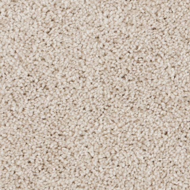 Beaulieu Beaulieu Tryesse Pro Carpet Collection, available with install at Alberta Hardwood Flooring. Visit our showrooms to view this collection, and for product details, and pricing.



Tryesse Pro combines softness and performance. This new yarn system produces innovative broadloom carpet that will be a great addition to new constructions and condominium projects, thanks to its texture and cozy colors. Green Label Plus certified ensuring that you are purchasing the very lowest VOC-emitting products on th