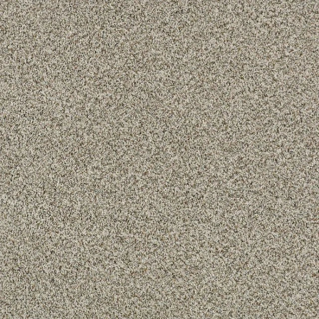 Shaw Caress Devon Classic I Carpet Collection, available with install at Alberta Hardwood Flooring. Visit one of our showrooms to view in person, and to obtain pricing for this product.&amp;nbsp;