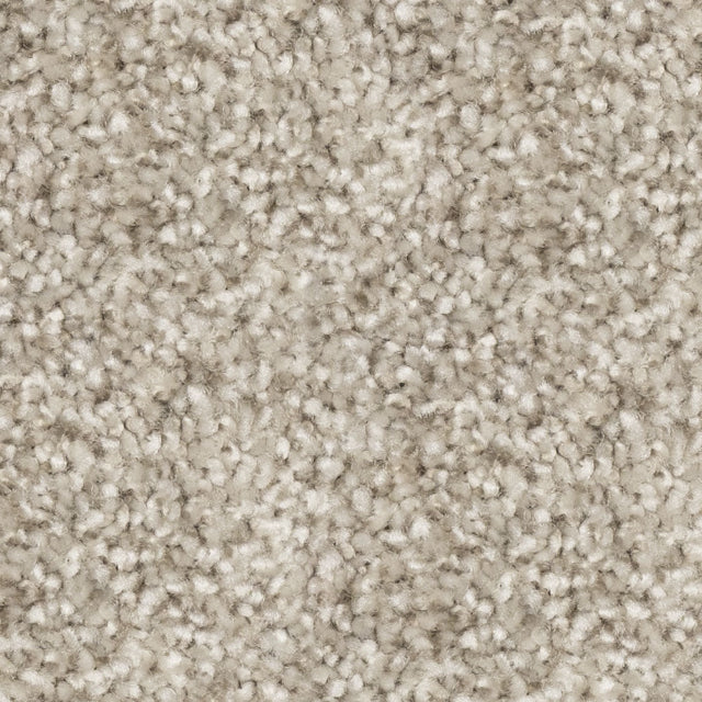 Beaulieu Tri Twist/Nyluxe Pet Guard Broadloom Carpet, available with install, at Alberta Hardwood Flooring. Visit our showrooms for more information.&nbsp;

Nyluxe carpets are made with nylon, but not just any nylon... it is Nyluxe. This durable, high-performance premier fiber lasts longer and comes in beautiful trendy colors that will not fade over time. These carpets often include built-in treatments such as SoilScreen®, a treatment that acts as a barrier that prevents soiling.

Green Label Plus certified