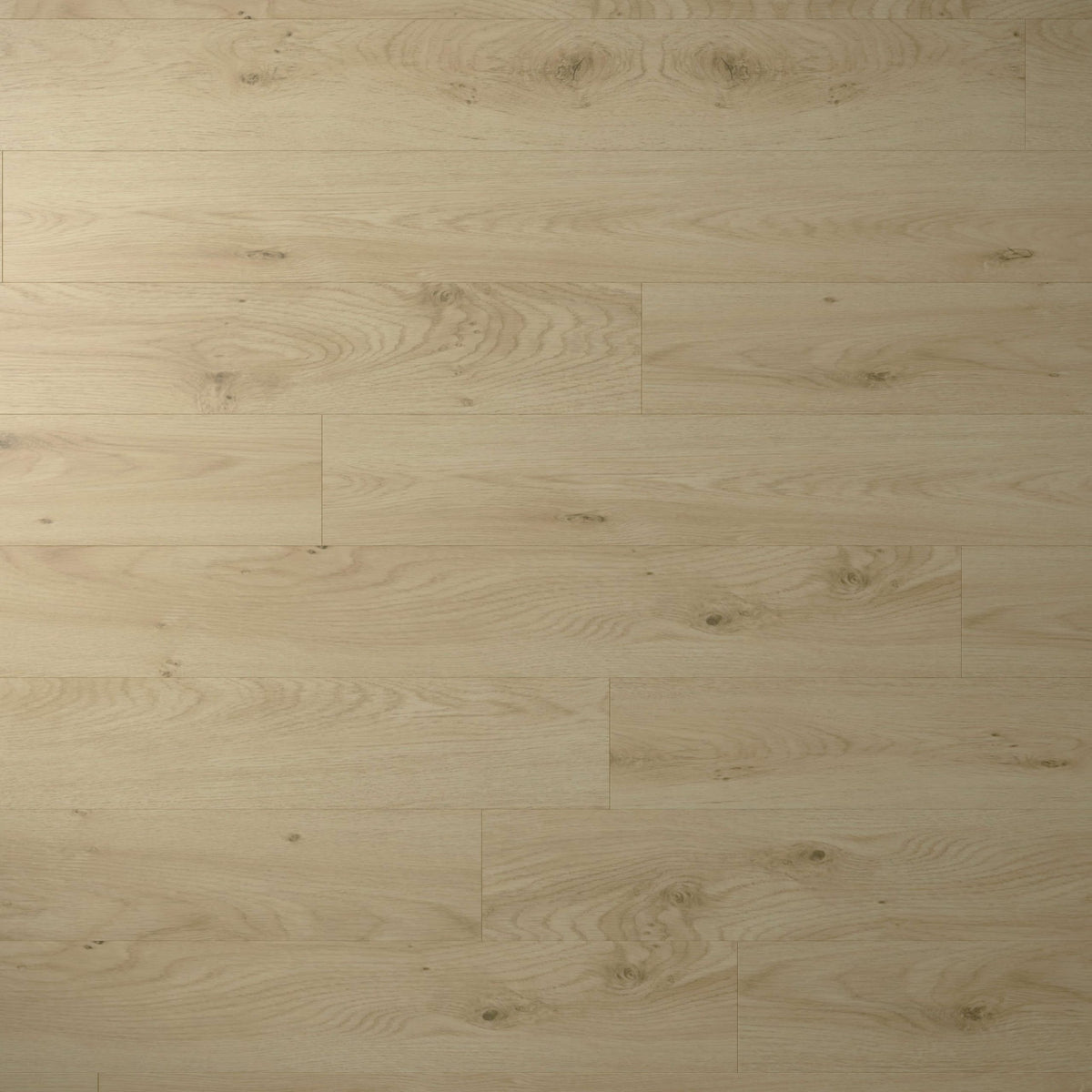 Torlys Grand View Midas Oak Laminate
