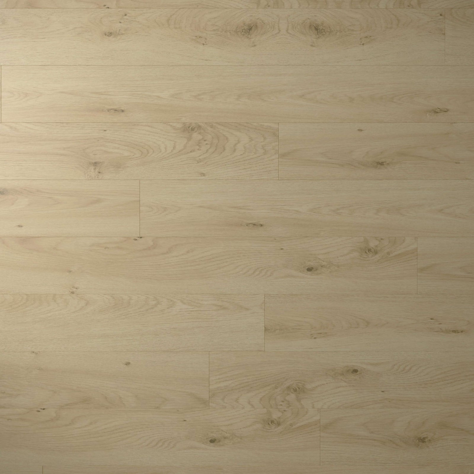 Torlys Grand View Midas Oak Laminate