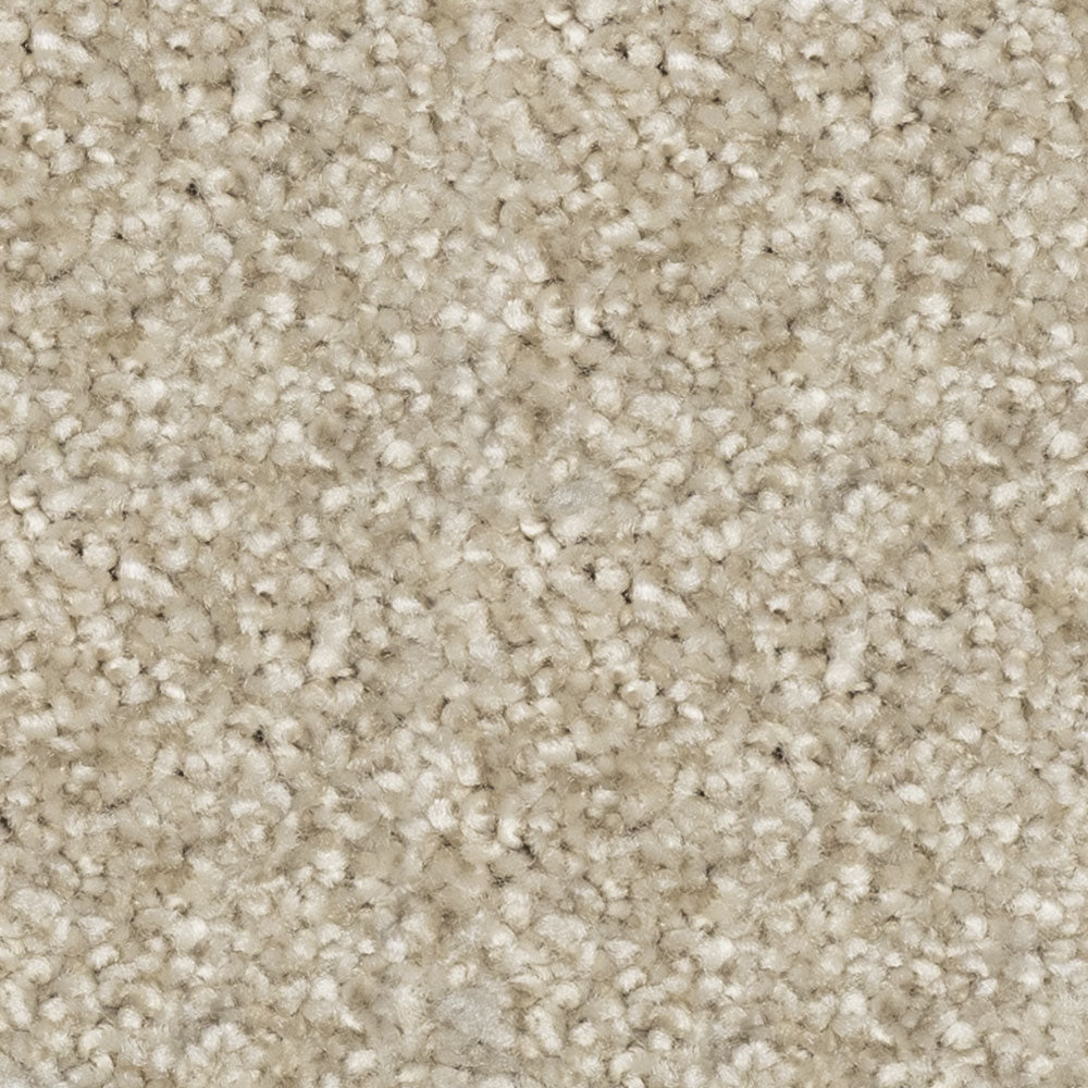 Beaulieu Tri Twist/Nyluxe Pet Guard Broadloom Carpet, available with install, at Alberta Hardwood Flooring. Visit our showrooms for more information.&amp;nbsp;

Nyluxe carpets are made with nylon, but not just any nylon... it is Nyluxe. This durable, high-performance premier fiber lasts longer and comes in beautiful trendy colors that will not fade over time. These carpets often include built-in treatments such as SoilScreen®, a treatment that acts as a barrier that prevents soiling.

Green Label Plus certified