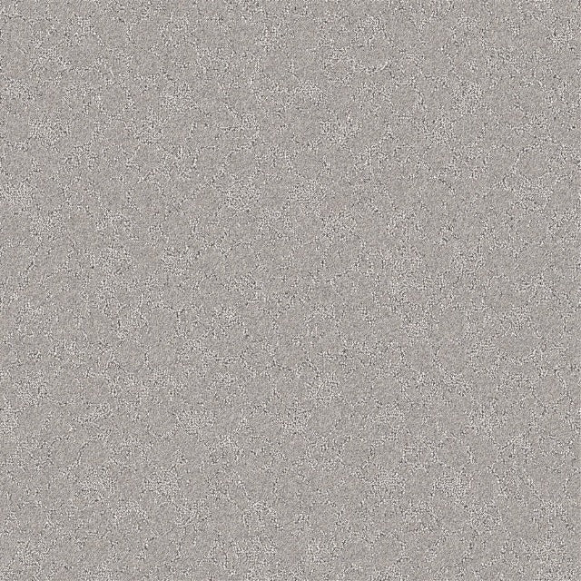 Beaulieu Nyluxe PetGuard Cloudscape Carpet Collection