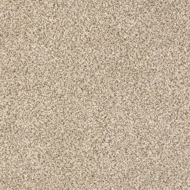 Shaw Caress Devon Classic I Carpet Collection, available with install at Alberta Hardwood Flooring. Visit one of our showrooms to view in person, and to obtain pricing for this product.&amp;nbsp;