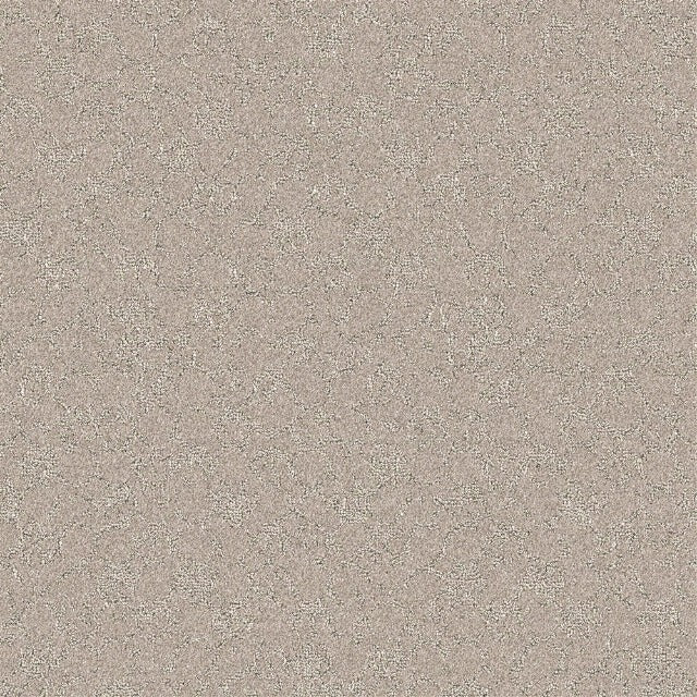 Beaulieu Nyluxe PetGuard Cloudscape Carpet Collection