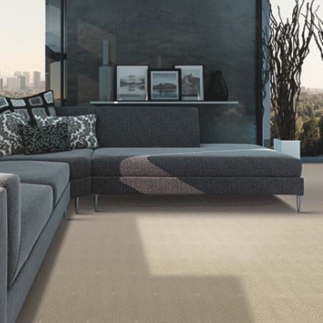 Karastan Ellesmere Designer Black Wool and Smartstrand Blend, available at Alberta Hardwood Flooring.