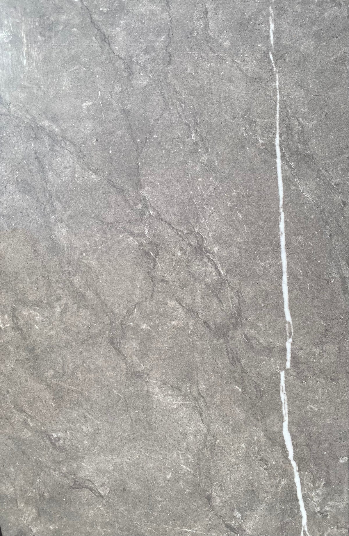 12&quot; X 24&quot; Tierra Sol Torino Argento Wall and Floor Tile, In Stock in our Edmonton location.  A large format tile, in a veined grey. 