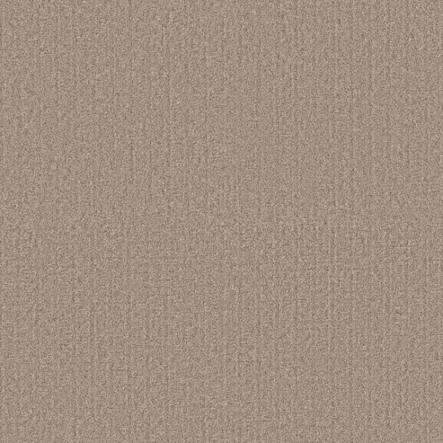 Shaw Secret Passage Pet Perfect+ Carpet Collection