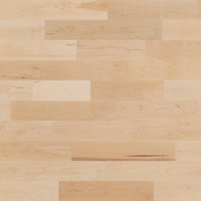 Silenzio Canadian Hard Maple