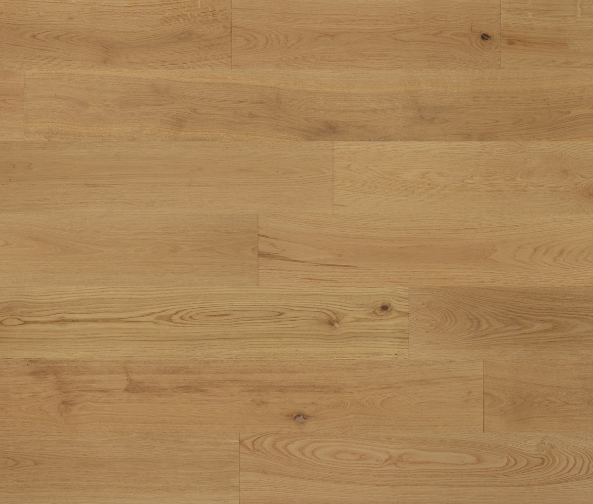 Lauzon Collection : Montauk European White Oak