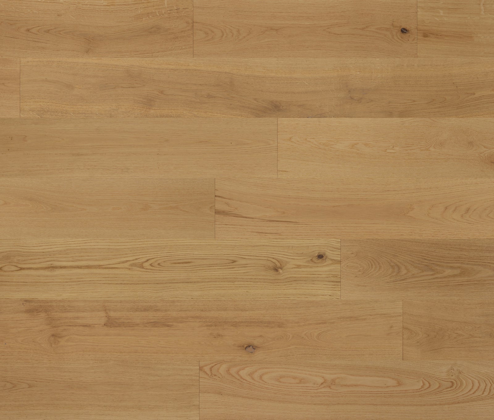 Lauzon Collection : Montauk European White Oak