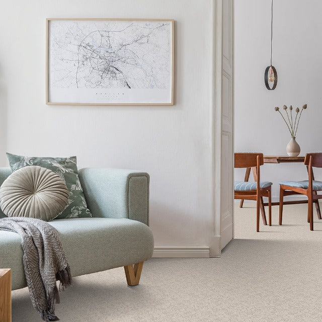 Beaulieu Nyluxe PetGuard Cloudscape Carpet Collection