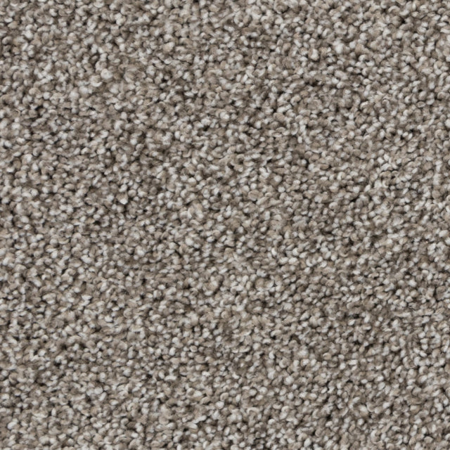 Beaulieu Beaulieu Tryesse Pro Carpet Collection, available with install at Alberta Hardwood Flooring. Visit our showrooms to view this collection, and for product details, and pricing.



Tryesse Pro combines softness and performance. This new yarn system produces innovative broadloom carpet that will be a great addition to new constructions and condominium projects, thanks to its texture and cozy colors. Green Label Plus certified ensuring that you are purchasing the very lowest VOC-emitting products on th