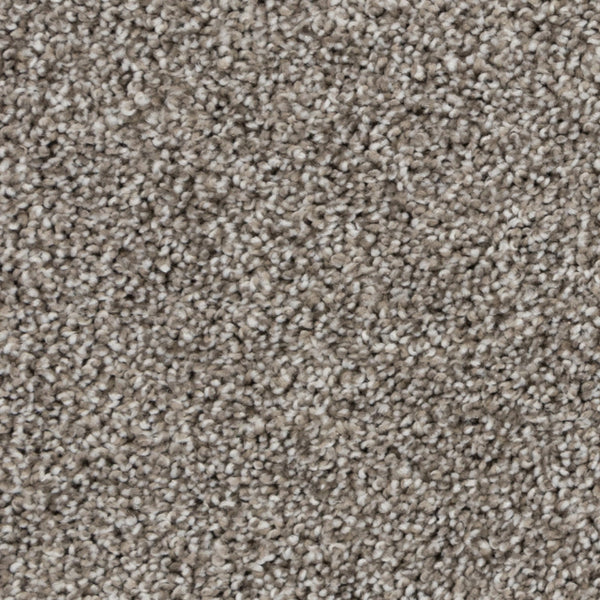 Beaulieu Tryesse Pro Carpet Collection - Alberta Hardwood