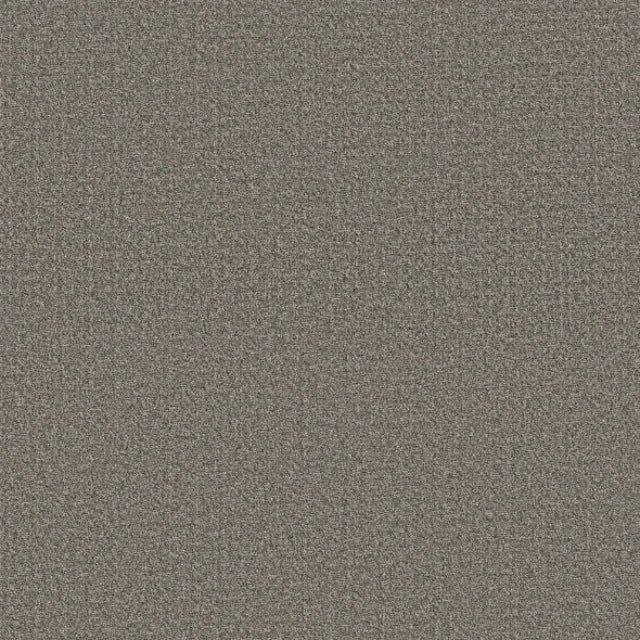 Shaw Secret Passage Pet Perfect+ Carpet Collection