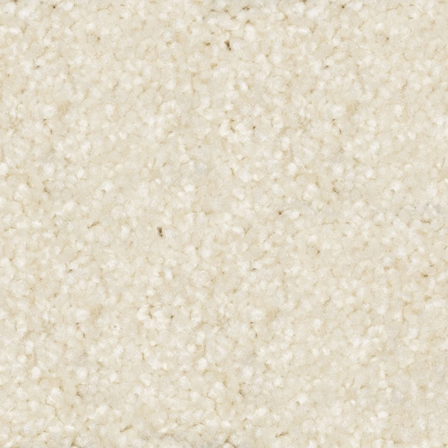 Beaulieu Tri Twist/Nyluxe Pet Guard Broadloom Carpet, available with install, at Alberta Hardwood Flooring. Visit our showrooms for more information.&amp;nbsp;

Nyluxe carpets are made with nylon, but not just any nylon... it is Nyluxe. This durable, high-performance premier fiber lasts longer and comes in beautiful trendy colors that will not fade over time. These carpets often include built-in treatments such as SoilScreen®, a treatment that acts as a barrier that prevents soiling.

Green Label Plus certified