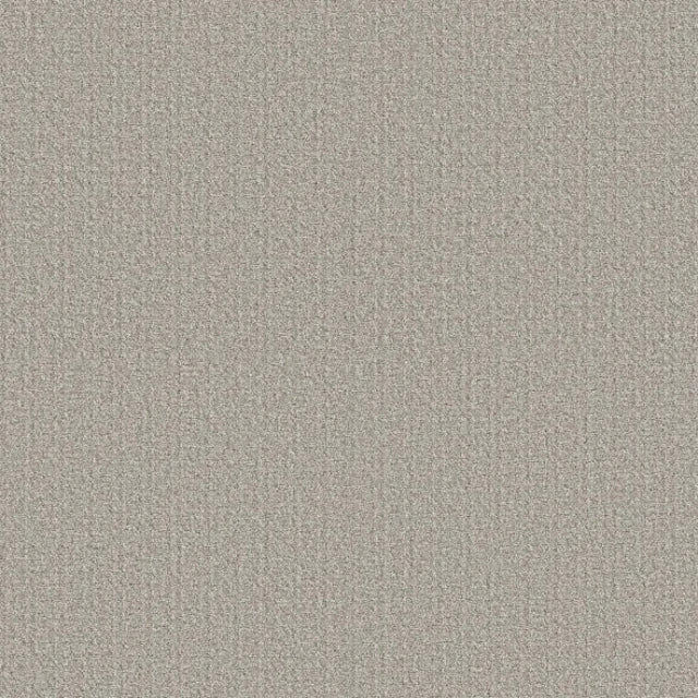 Shaw Secret Passage Pet Perfect+ Carpet Collection