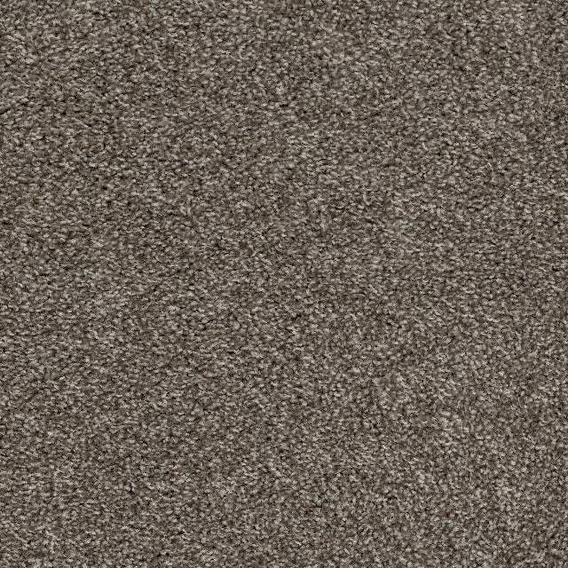 Ethos Carpet Silver Lining Alberta Hardwood