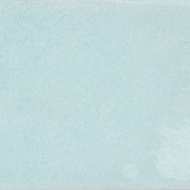 Ceratec Equipe Village 2&quot; x 5&quot; Glossy Wall Tile, available at Alberta Hardwood Flooring.