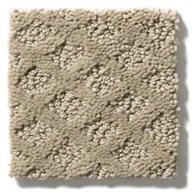 Shaw Foundations Entwined With You Park Avenue Carpet, available with install at Alberta Hardwood Flooring.